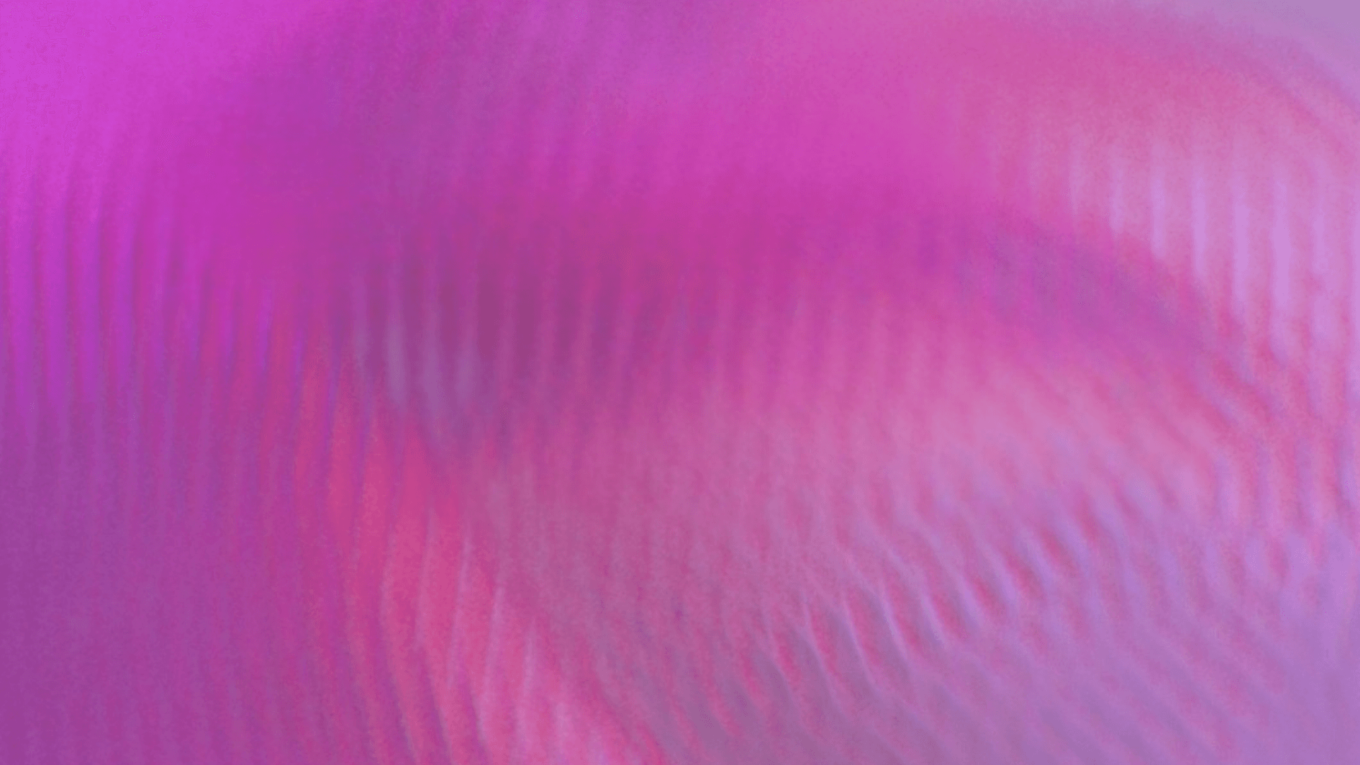 Request a Hubspot Consultation 